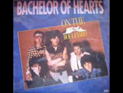 Bachelor of Hearts