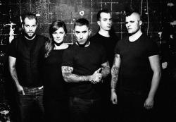 Broilers