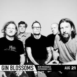 Gin Blossoms