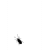 miTTtura